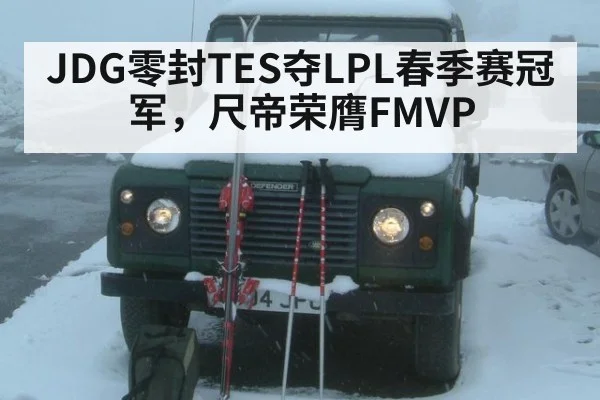 JDG零封TES夺LPL春季赛冠军，尺帝荣膺FMVP