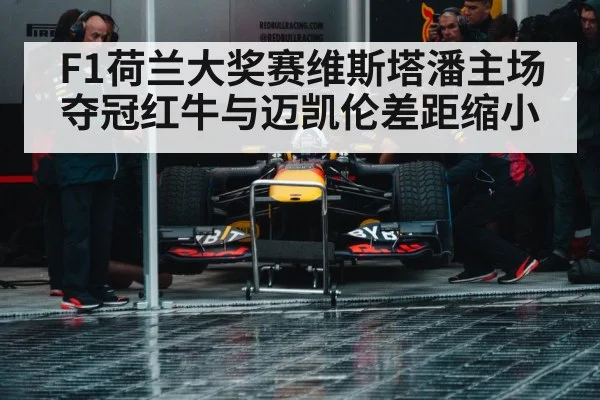 Red Bull racing pit stop