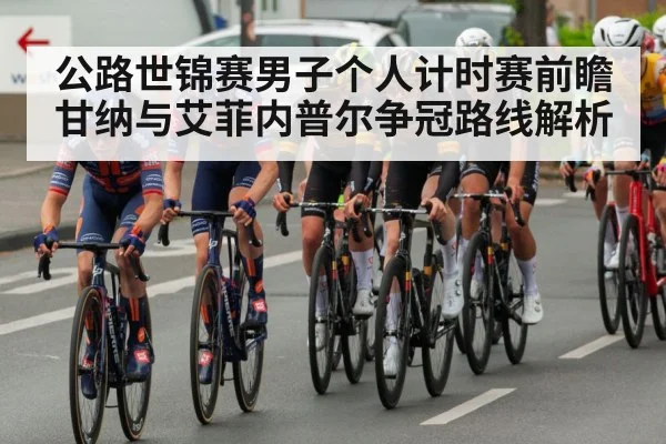 professional road cycling race